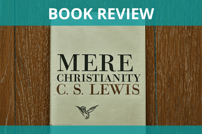 Summary of mere christianity book 2