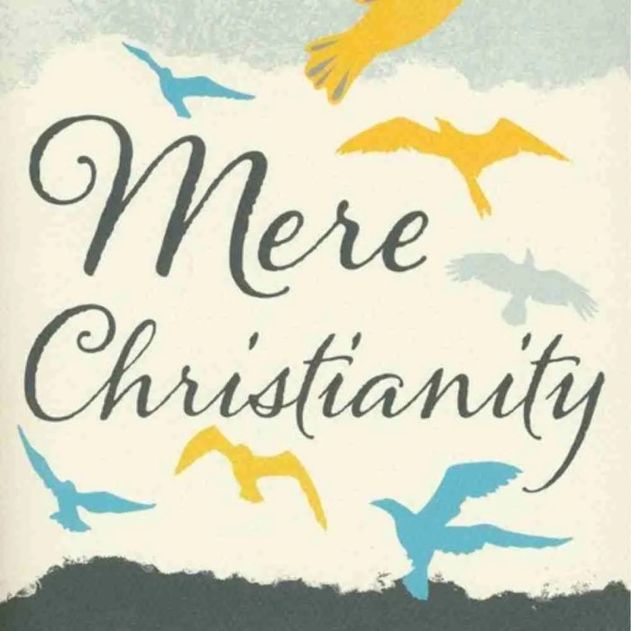 Summary of mere christianity book 2