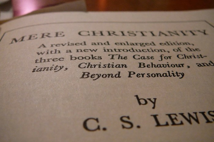 Summary of mere christianity book 2