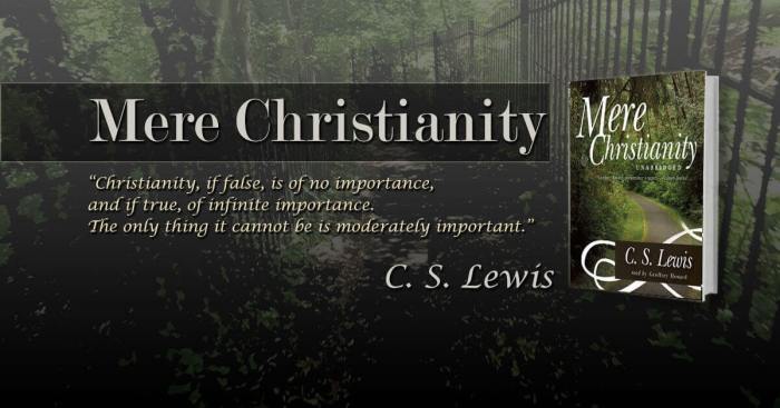 Summary of mere christianity book 2