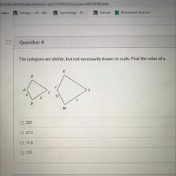 The polygons are similar. find the value of $x$ .