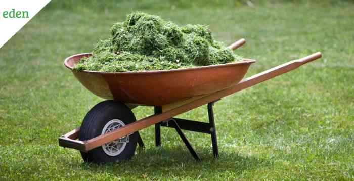 Grass clippings are placed in a bin where they decompose