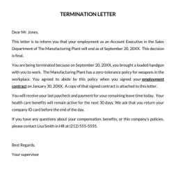 A summarization letter regarding reasons for termination should