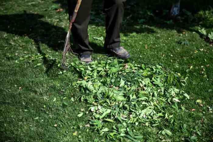 Lawn clippings familyhandyman handyman clipping blades soil ventura99 fertilizer seed properly growgardener